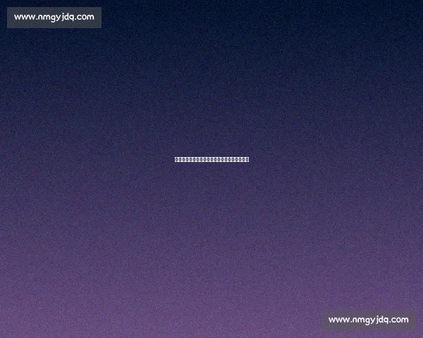 雨幕中绳牵追光：视障跑者与陪跑员的无畏训练