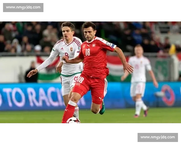 瑞士迎战法罗群岛欧洲赛场实力与战术全面对比前瞻看点解析走势判断